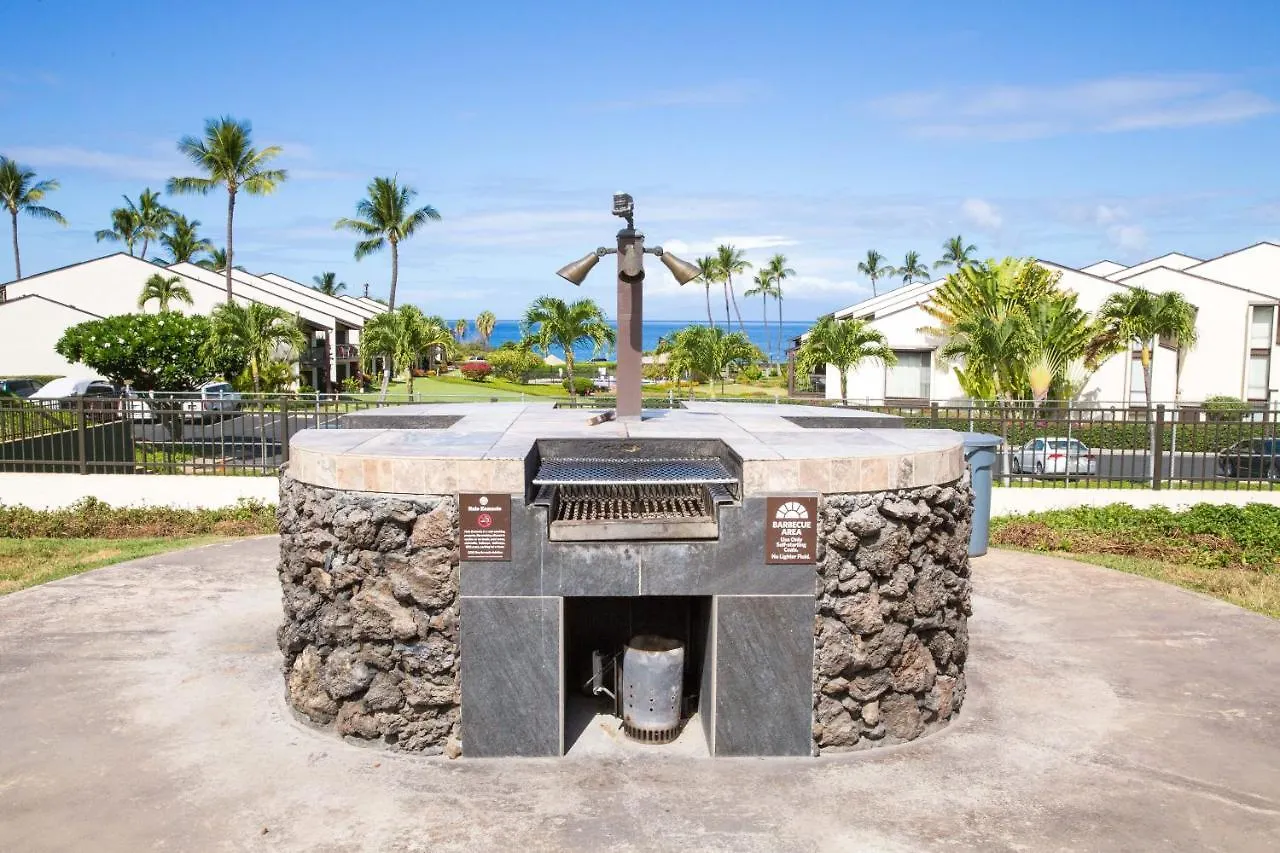 Holiday home Hale Kamaole 271 Villa Wailea